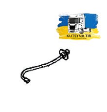 Б/у Форсунка адблю (AdBlue) MAN TGX EURO 6 (МАН ТГХ ЕВРО 6) 81154055006